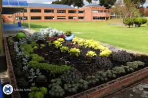 cotizar-eventos-complejo-de-eventos-la-enseñanza-media-torta